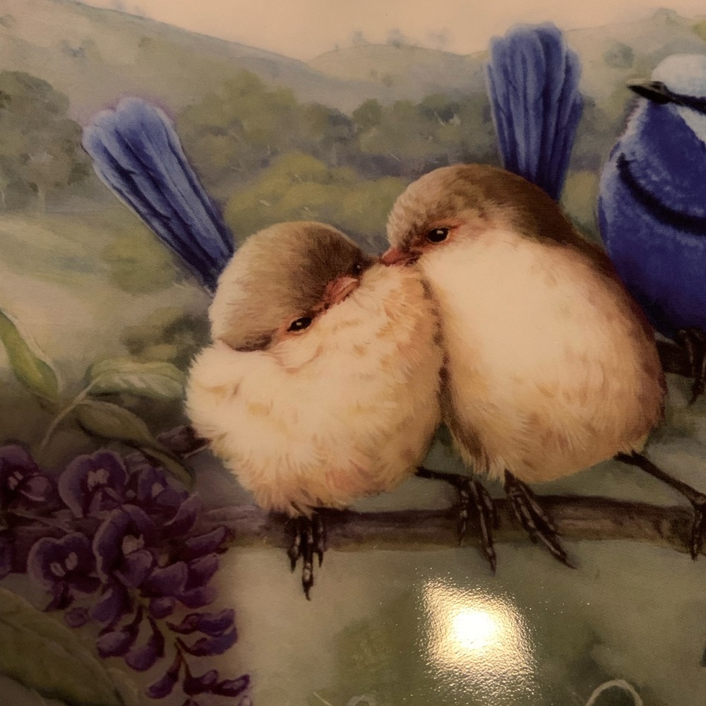 Maxwell & Williams Birds Of Australia 10th Year Anniversary China Plate - Picture 3 of 7